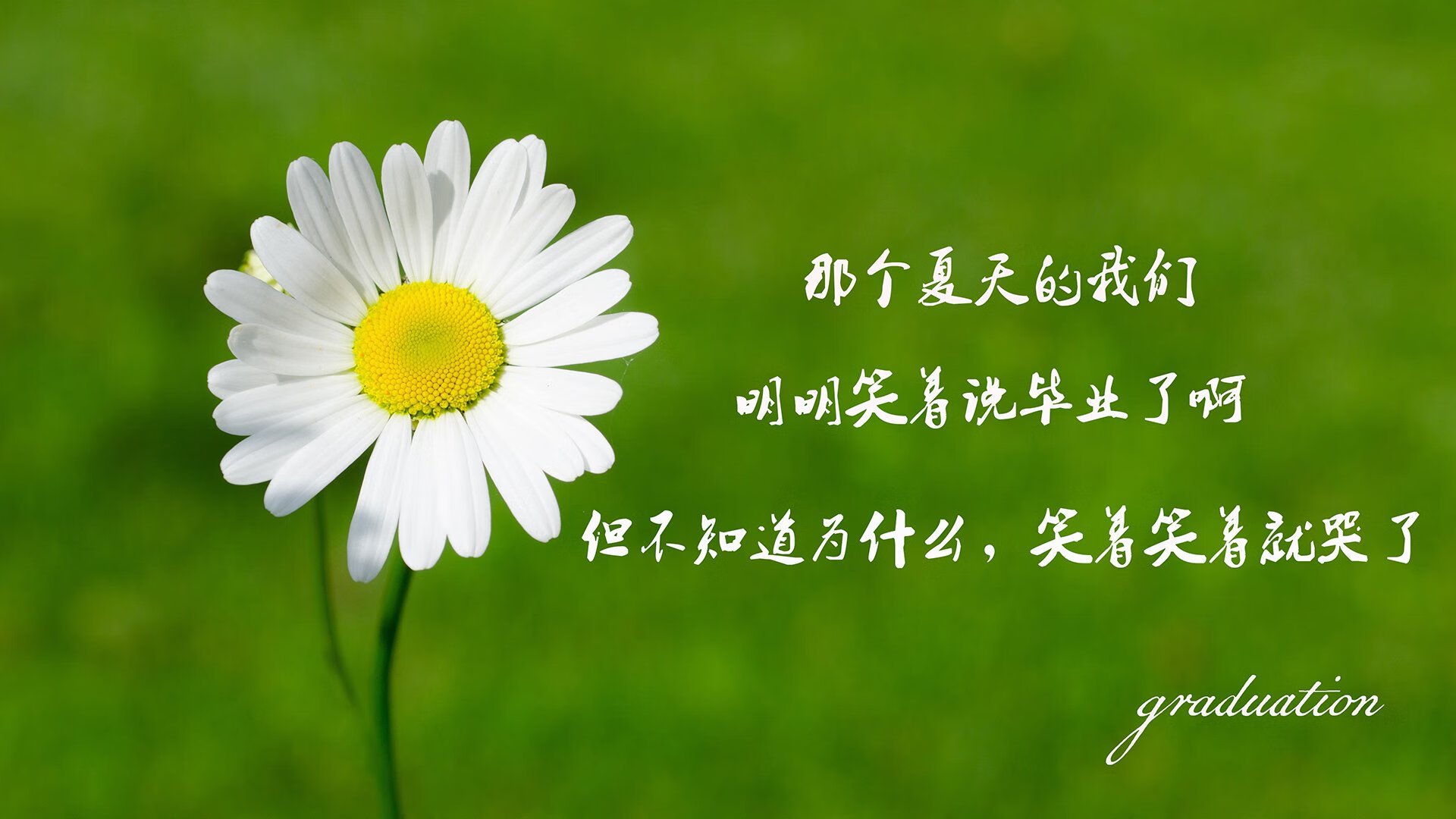 弗拉门戈签下实力中场，弗拉门戈近期战绩