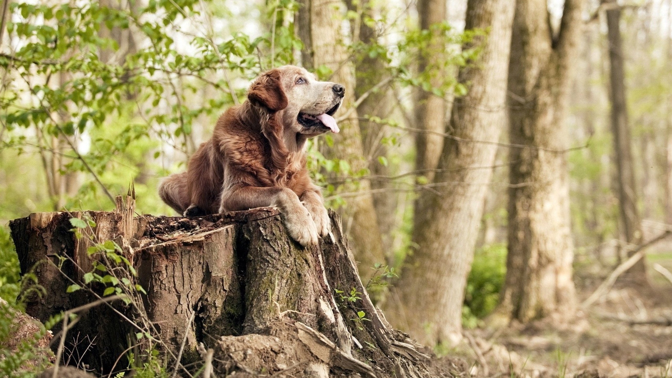 AYX SPORTS-观众互动体验技术持续创新，观众互动体验技术持续创新研究