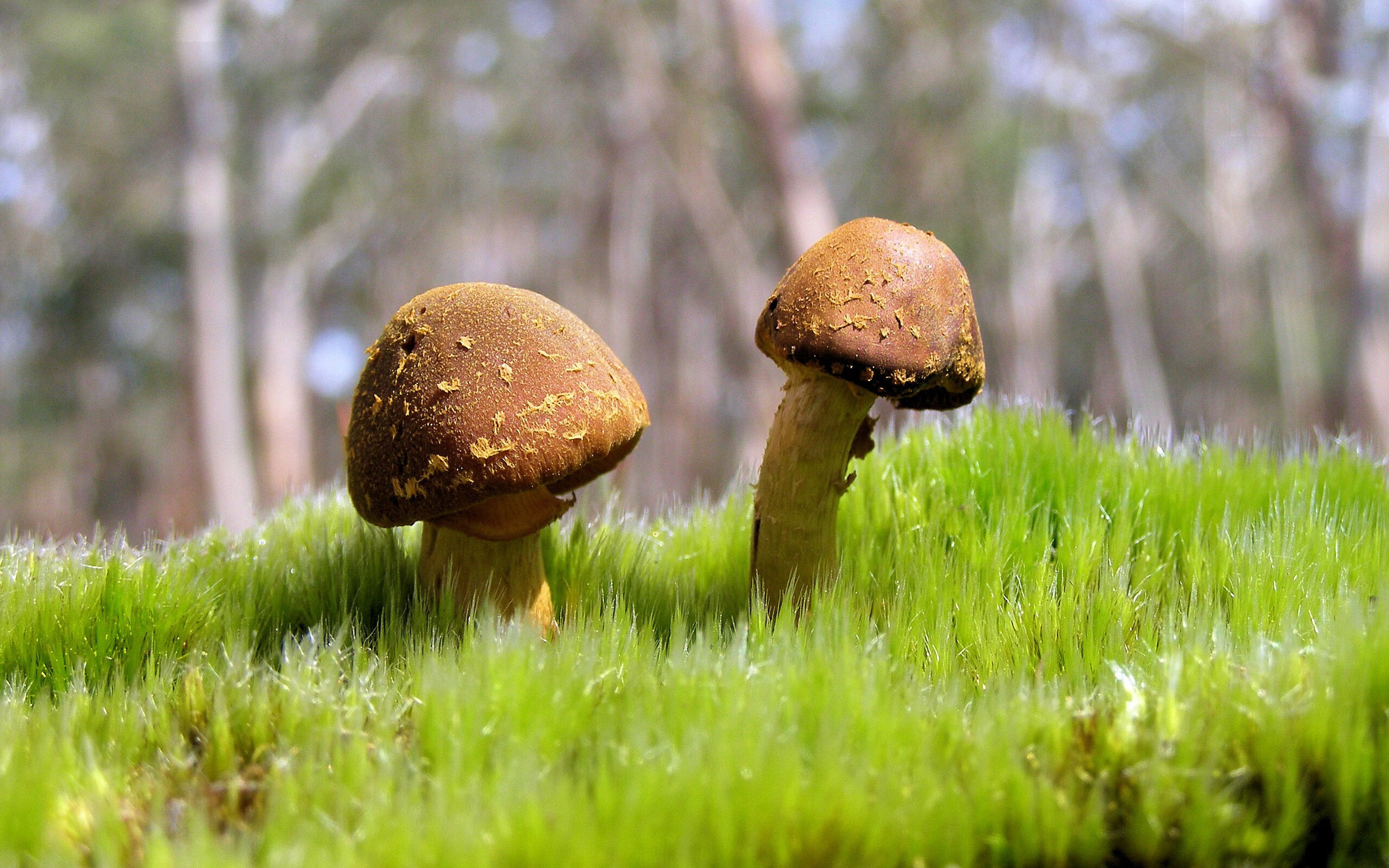 高校健身课程纳入学分体系,大学健身专业叫什么