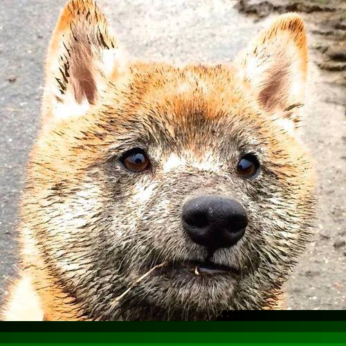 爱游戏官网-决赛门票二次发售引抢购潮，球迷热情不减，nba决赛门票