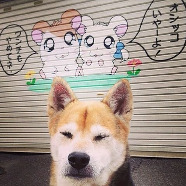 爱游戏体育-地方联赛引入多媒体裁判复审技术提升执裁公平性与透明度