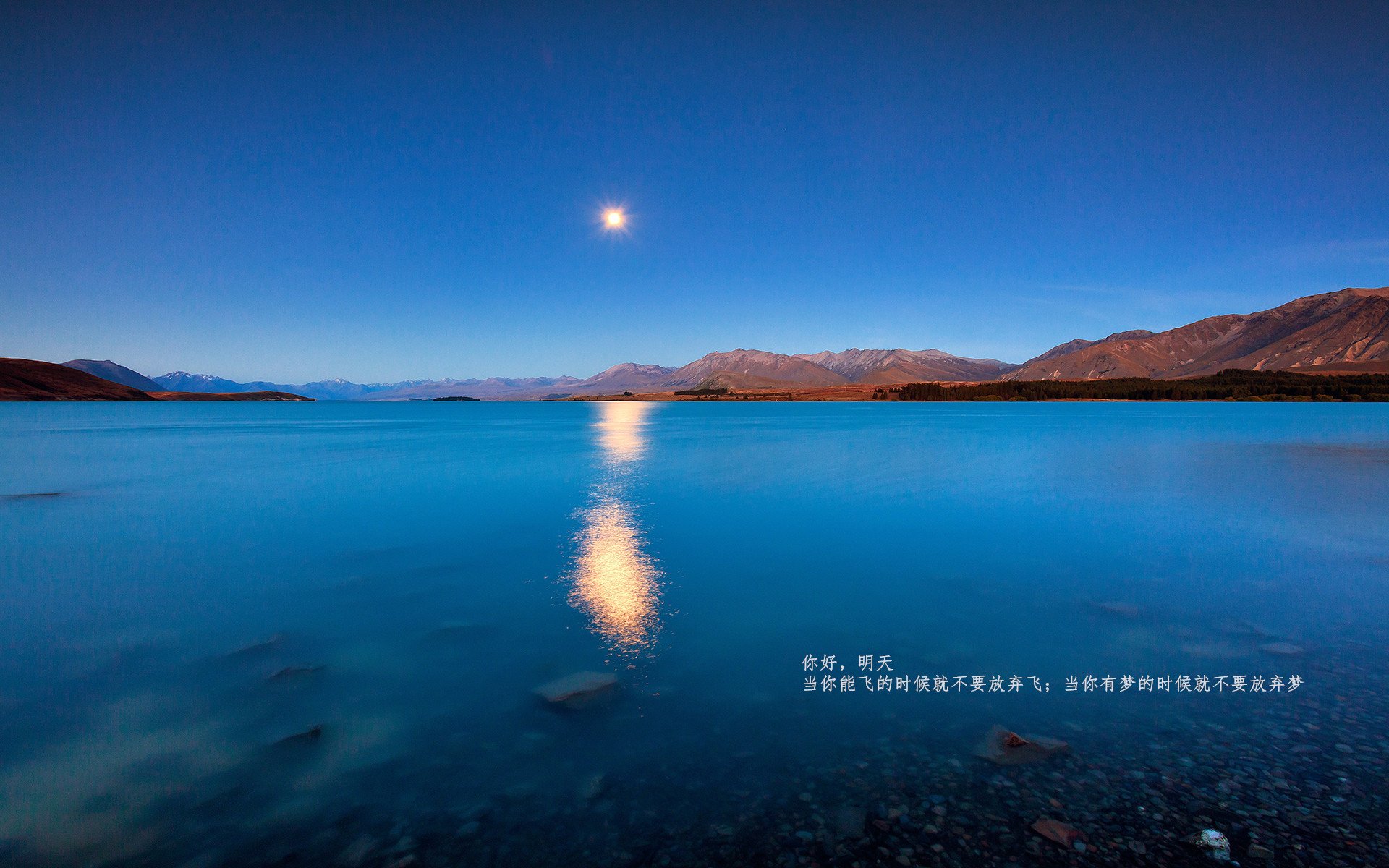 弗朗索瓦·斯图尔特:通过精准脚法调动全队,助力南非队赢得胜利