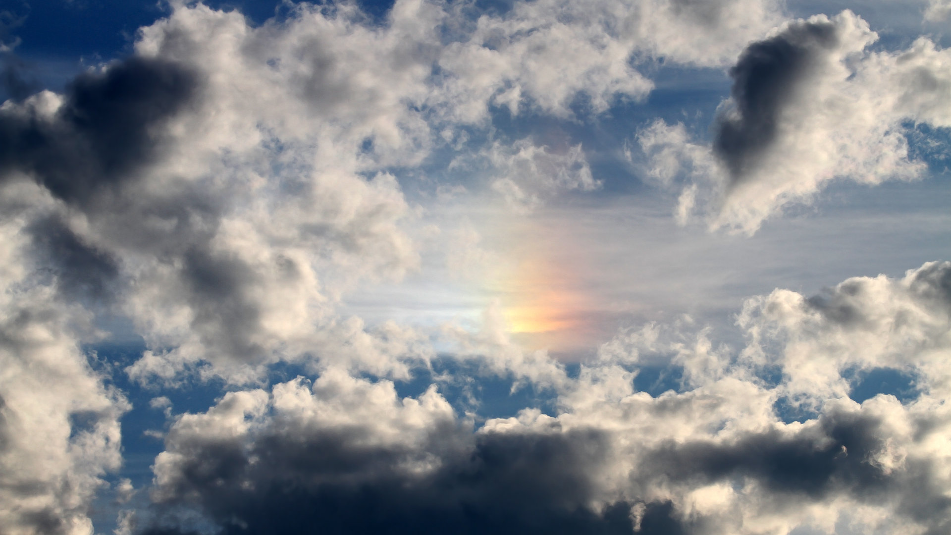 德甲速成新星引欧洲关注，德甲新人