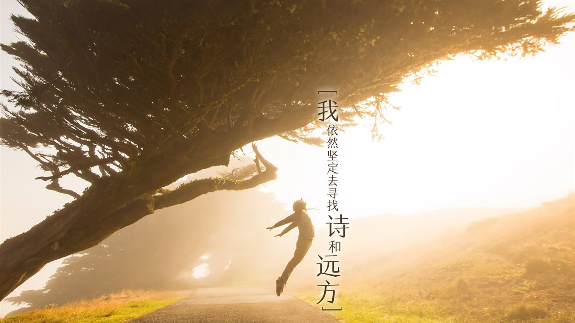 爱游戏娱乐网址-意甲比赛节奏：攻守转换，精彩纷呈！，意甲赛制规则