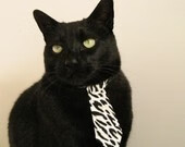 比利时男篮在欧洲预赛中拼搏不止,冲击奥运梦想,比利时男篮厉害吗