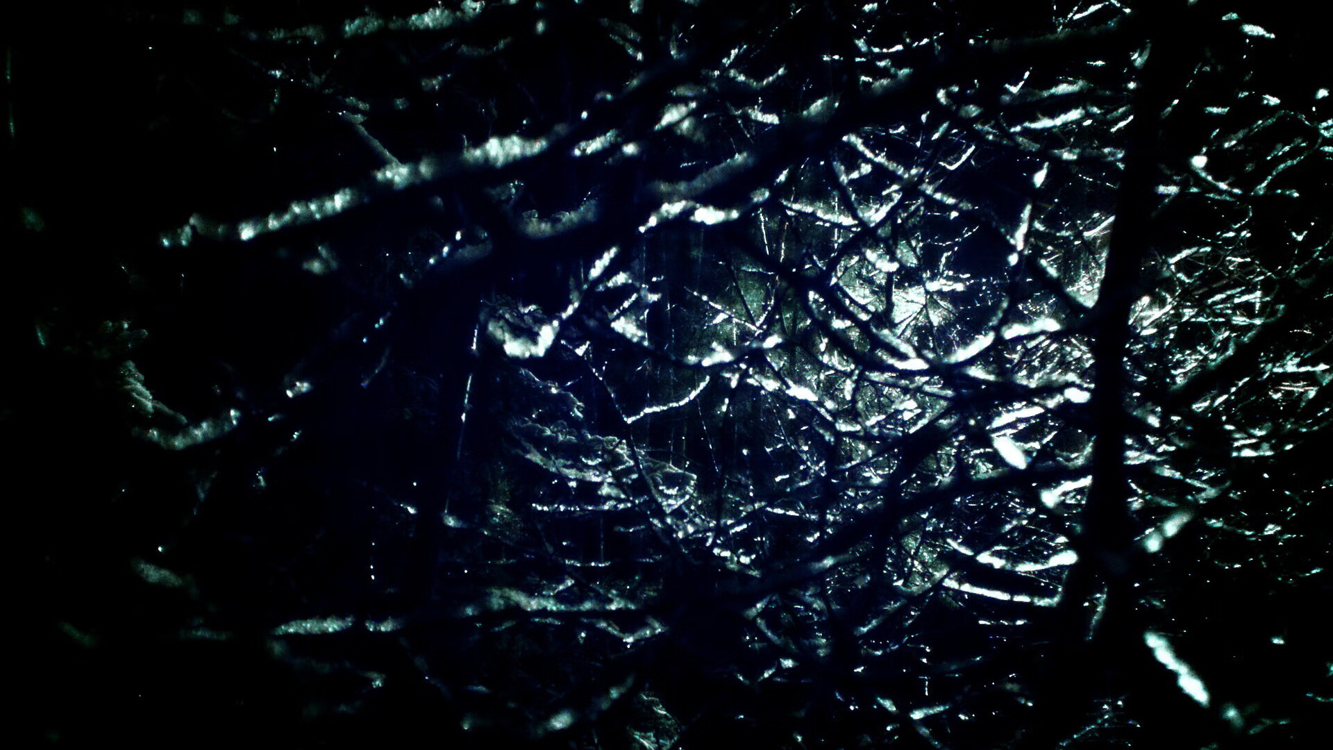 爱游戏 电竞-球员家庭日暖心活动，促进俱乐部与球迷关系，球员家属